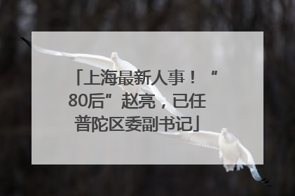 上海最新人事！“80后”赵亮，已任普陀区委副书记