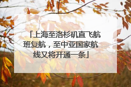 上海至洛杉矶直飞航班复航，至中亚国家航线又将开通一条