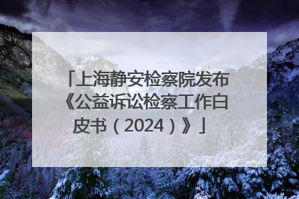 上海静安检察院发布《公益诉讼检察工作白皮书（2024）》