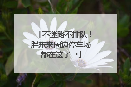 不迷路不排队！胖东来周边停车场都在这了→