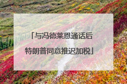 与冯德莱恩通话后 特朗普同意推迟加税