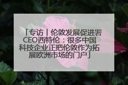 专访丨伦敦发展促进署CEO西特伦：很多中国科技企业正把伦敦作为拓展欧洲市场的门户