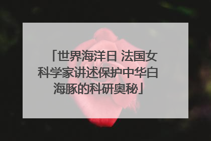 世界海洋日 法国女科学家讲述保护中华白海豚的科研奥秘