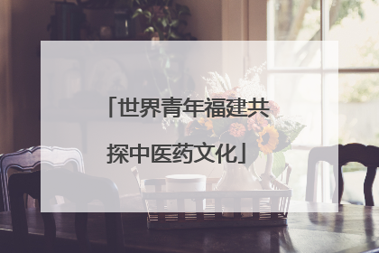 世界青年福建共探中医药文化