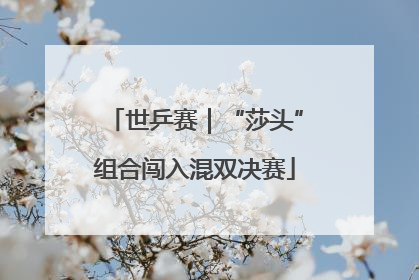 世乒赛｜“莎头”组合闯入混双决赛