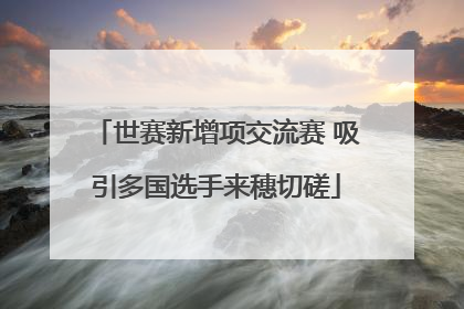 世赛新增项交流赛 吸引多国选手来穗切磋