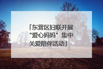 东营区妇联开展“爱心妈妈”集中关爱陪伴活动