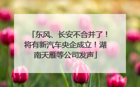 东风、长安不合并了！将有新汽车央企成立！湖南天雁等公司发声