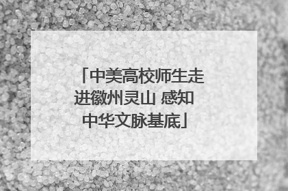 中美高校师生走进徽州灵山 感知中华文脉基底