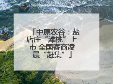 中原农谷：盐店庄“滩桃”上市 全国客商凌晨“赶集”