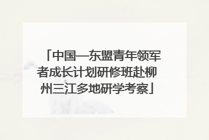 中国—东盟青年领军者成长计划研修班赴柳州三江多地研学考察