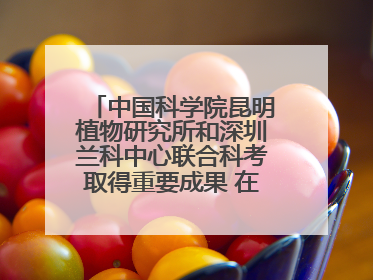 中国科学院昆明植物研究所和深圳兰科中心联合科考取得重要成果 在神农架发现两种“国保”级兰花