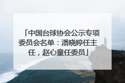 中国台球协会公示专项委员会名单：潘晓婷任主任，赵心童任委员