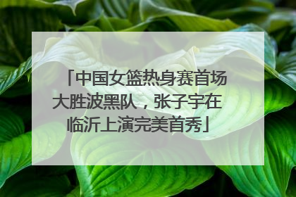 中国女篮热身赛首场大胜波黑队，张子宇在临沂上演完美首秀