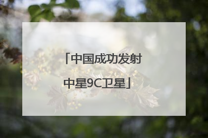 中国成功发射中星9C卫星