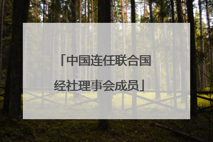 中国连任联合国经社理事会成员