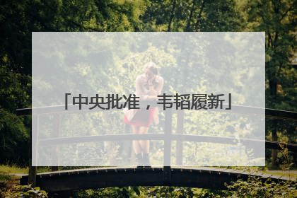 中央批准，韦韬履新