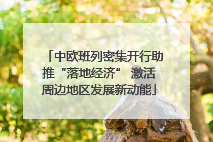 中欧班列密集开行助推“落地经济” 激活周边地区发展新动能