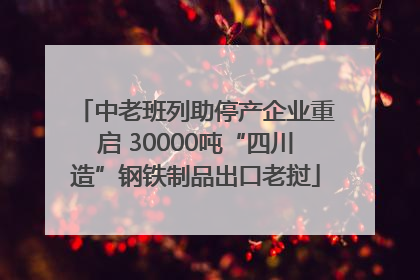 中老班列助停产企业重启 30000吨“四川造”钢铁制品出口老挝