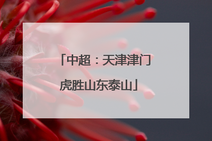 中超：天津津门虎胜山东泰山