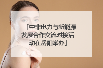 中非电力与新能源发展合作交流对接活动在岳阳举办