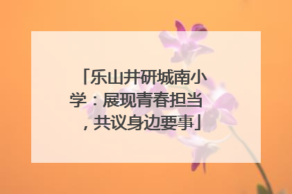 乐山井研城南小学：展现青春担当，共议身边要事