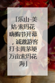 乐山-美姑·索玛花嗨购节开幕，诚邀游客打卡黄茅埂万亩索玛花海
