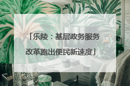 乐陵：基层政务服务改革跑出便民新速度