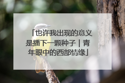 也许我出现的意义是播下一颗种子｜青年眼中的西部情缘