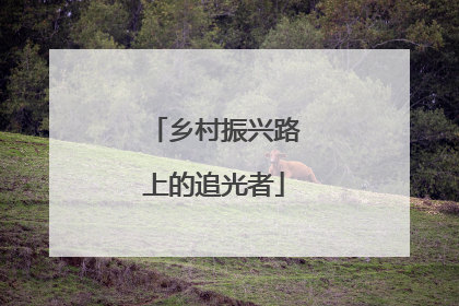 乡村振兴路上的追光者