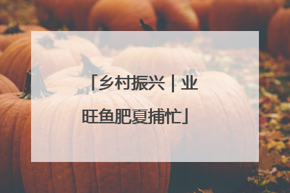 乡村振兴｜业旺鱼肥夏捕忙