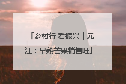 乡村行 看振兴｜元江：早熟芒果销售旺