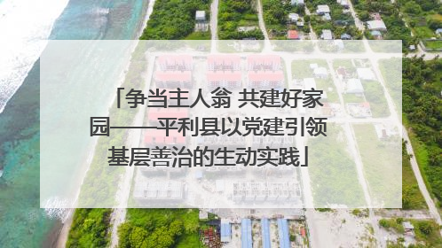 争当主人翁 共建好家园——平利县以党建引领基层善治的生动实践