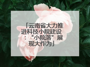 云南省大力推进科技小院建设：“小院落”展现大作为