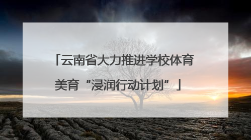 云南省大力推进学校体育美育“浸润行动计划”