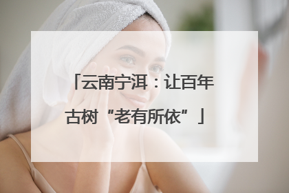 云南宁洱：让百年古树“老有所依”