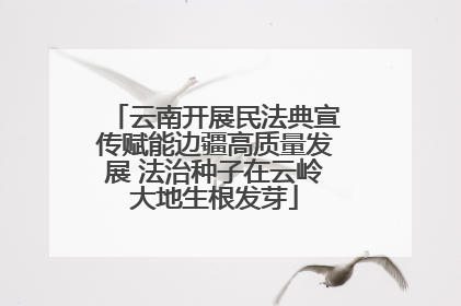 云南开展民法典宣传赋能边疆高质量发展 法治种子在云岭大地生根发芽