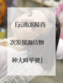 云南龙陵首次发现濒危物种大叶苹婆