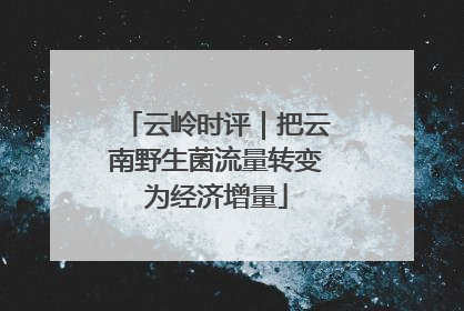 云岭时评｜把云南野生菌流量转变为经济增量