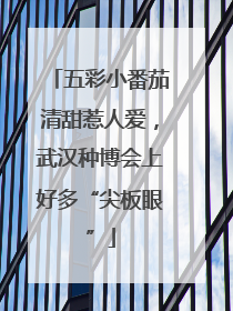 五彩小番茄清甜惹人爱，武汉种博会上好多“尖板眼”
