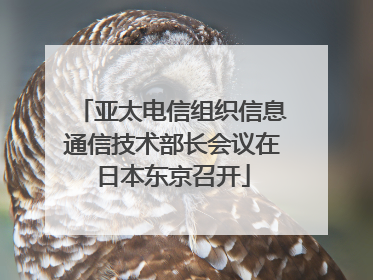 亚太电信组织信息通信技术部长会议在日本东京召开