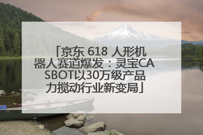 京东 618 人形机器人赛道爆发：灵宝CASBOT以30万级产品力搅动行业新变局