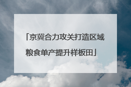 京冀合力攻关打造区域粮食单产提升样板田