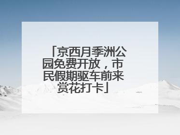 京西月季洲公园免费开放，市民假期驱车前来赏花打卡