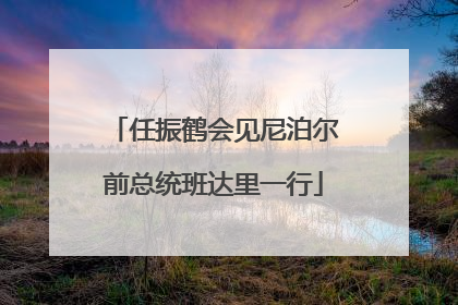 任振鹤会见尼泊尔前总统班达里一行