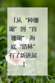从“种珊瑚”到“育珊瑚” 海底“造林”有了新进展