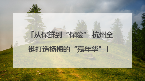 从保鲜到“保险” 杭州全链打造杨梅的“嘉年华”