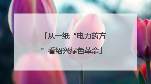 从一纸“电力药方”看绍兴绿色革命