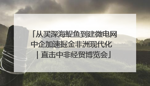 从买深海鳀鱼到建微电网 中企加速掘金非洲现代化｜直击中非经贸博览会