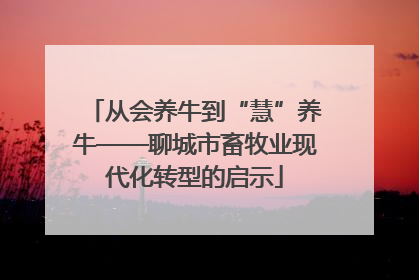 从会养牛到“慧”养牛——聊城市畜牧业现代化转型的启示
